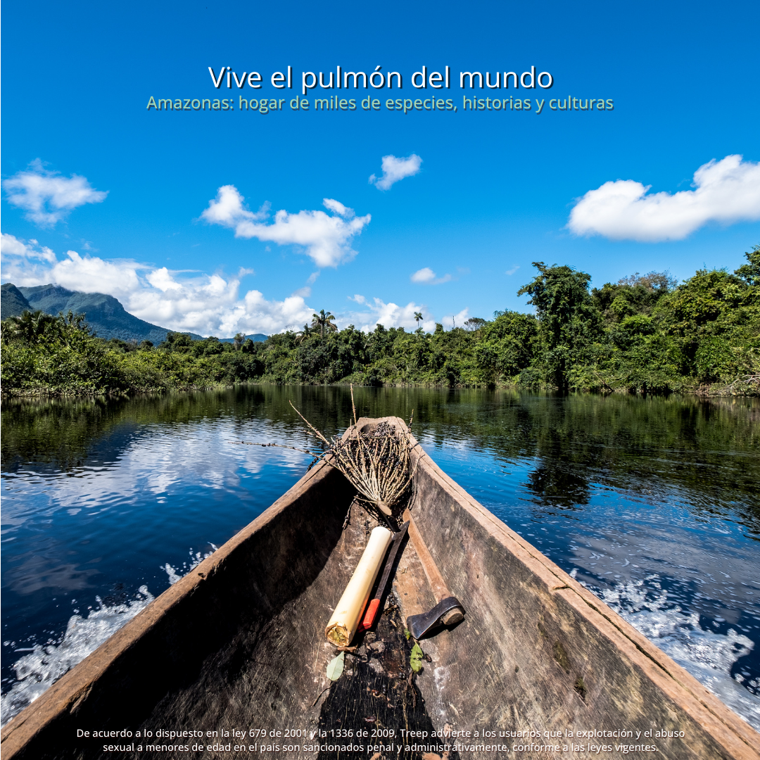 AMAZONAS