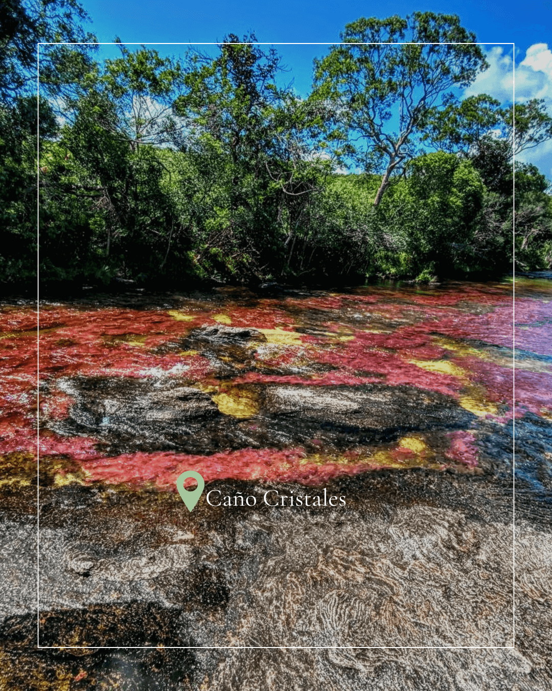 CAÑO CRISTALES