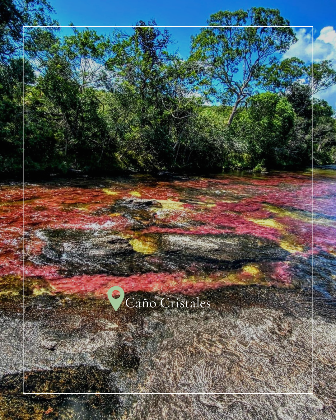 Caño Cristales