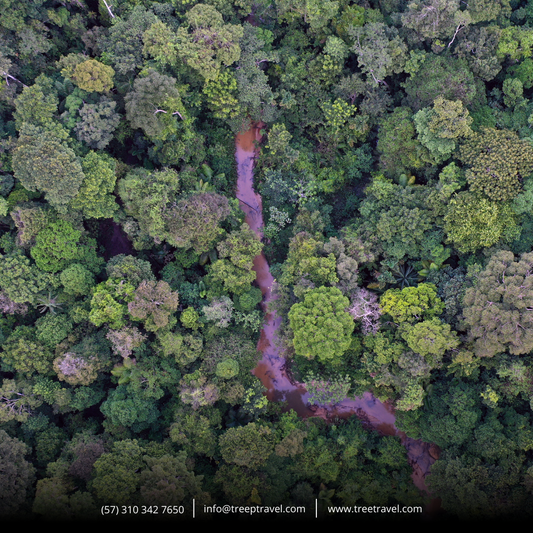 AMAZONAS