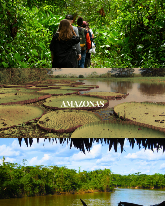 AMAZONAS
