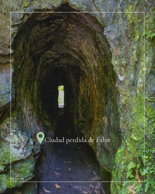 CIUDAD PERDIDA DE FALAN